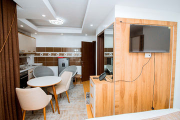 Superior One-Bedroom - Living Area